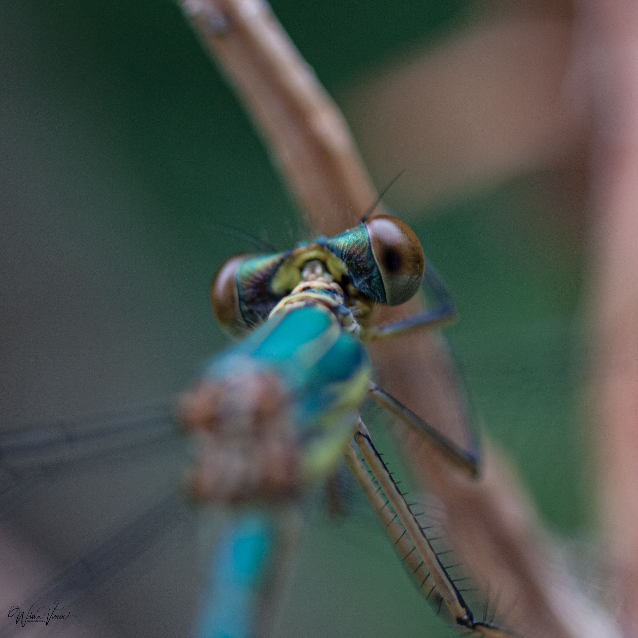20090710_naamloos_7581