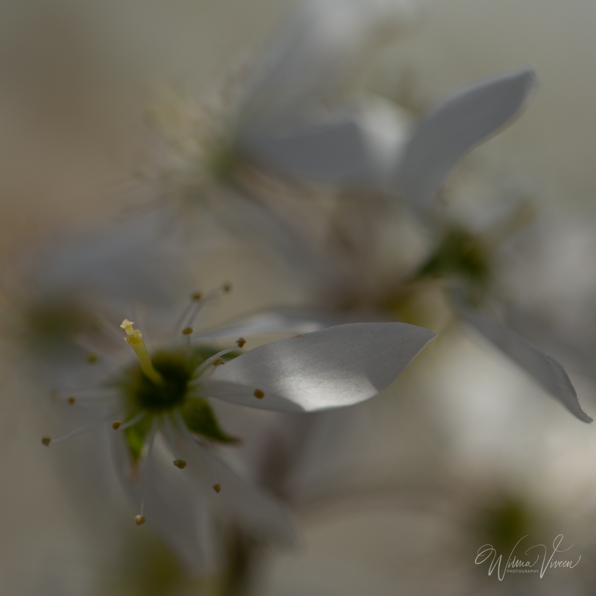 20180419_naamloos_4172