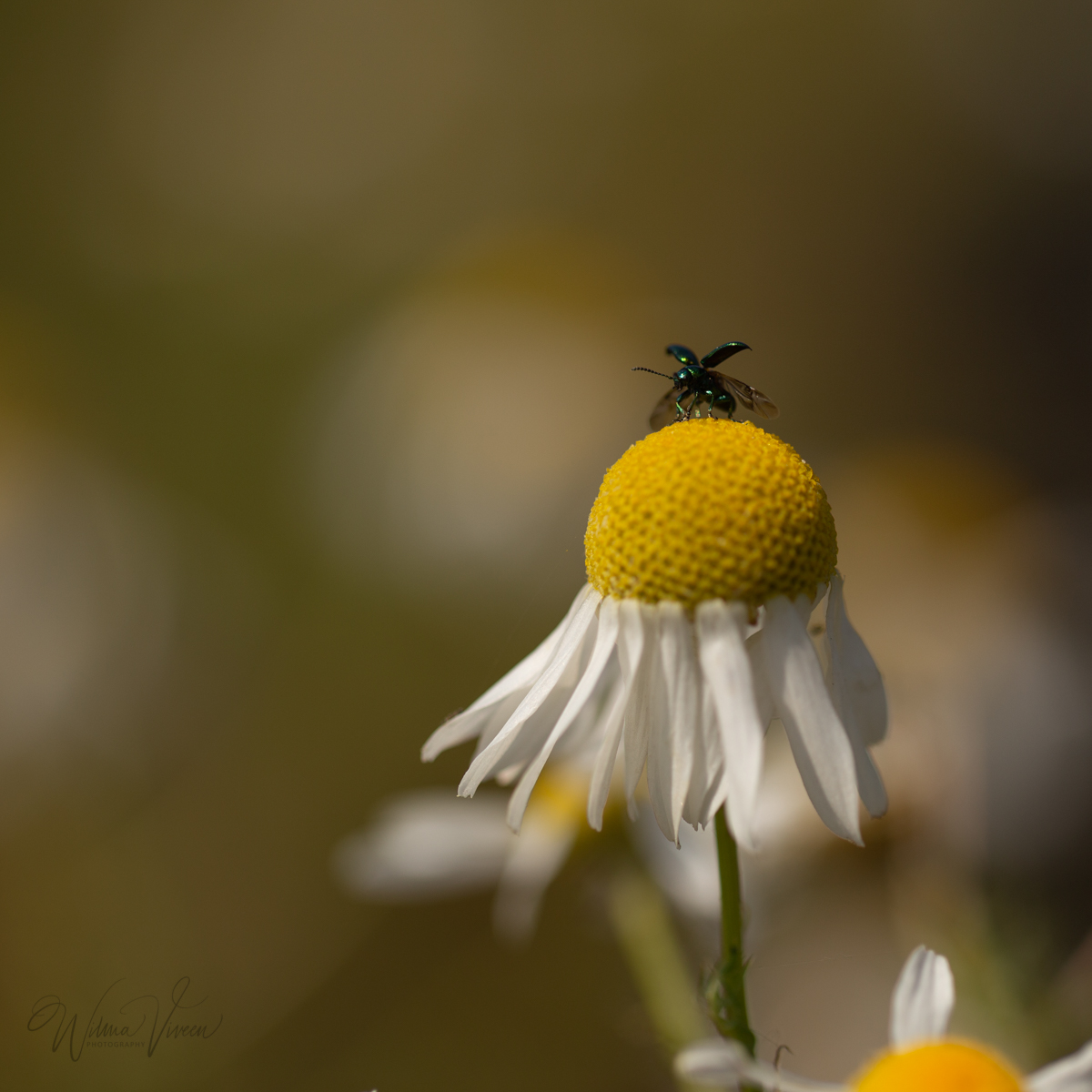 20180627_naamloos_7346