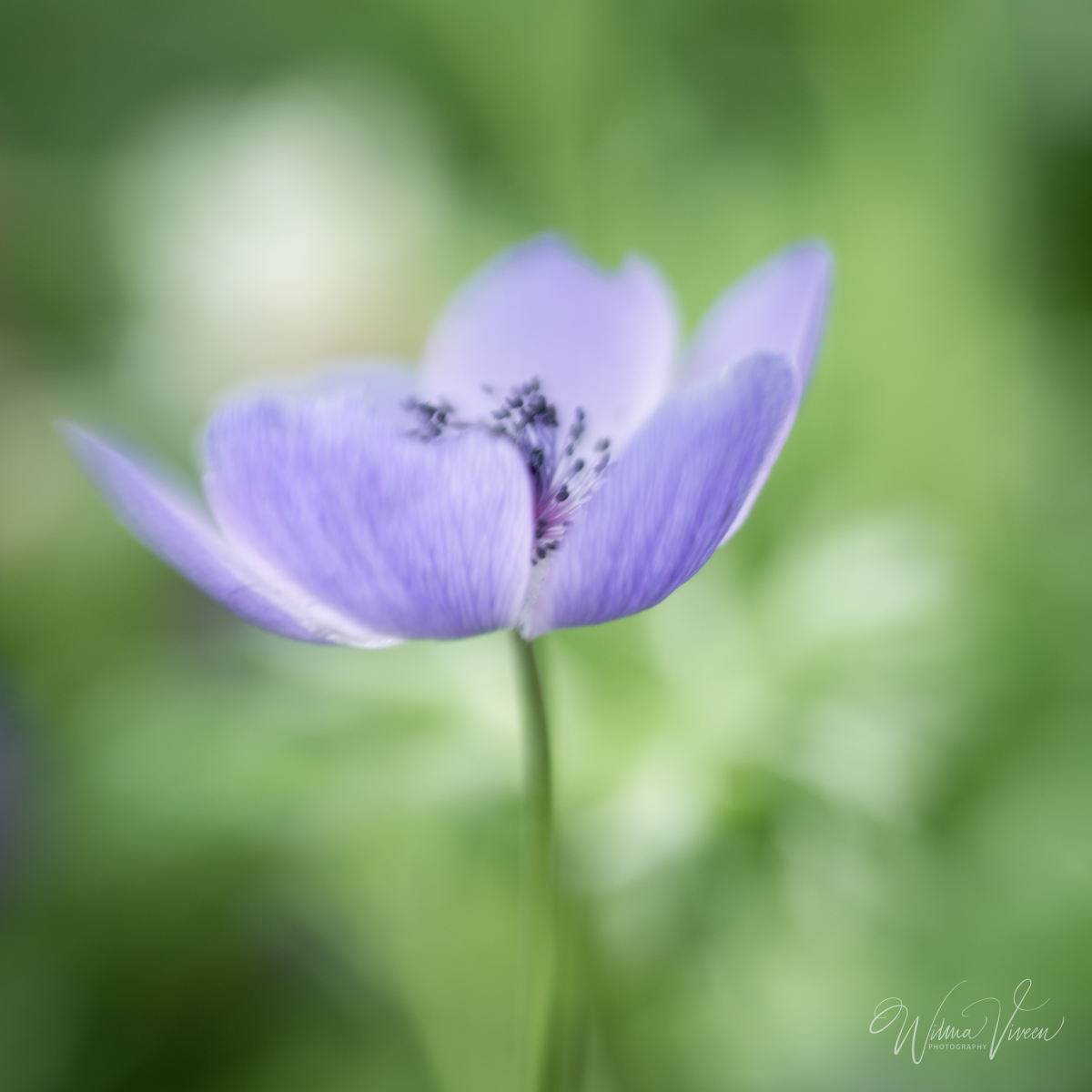20190504_naamloos_0878
