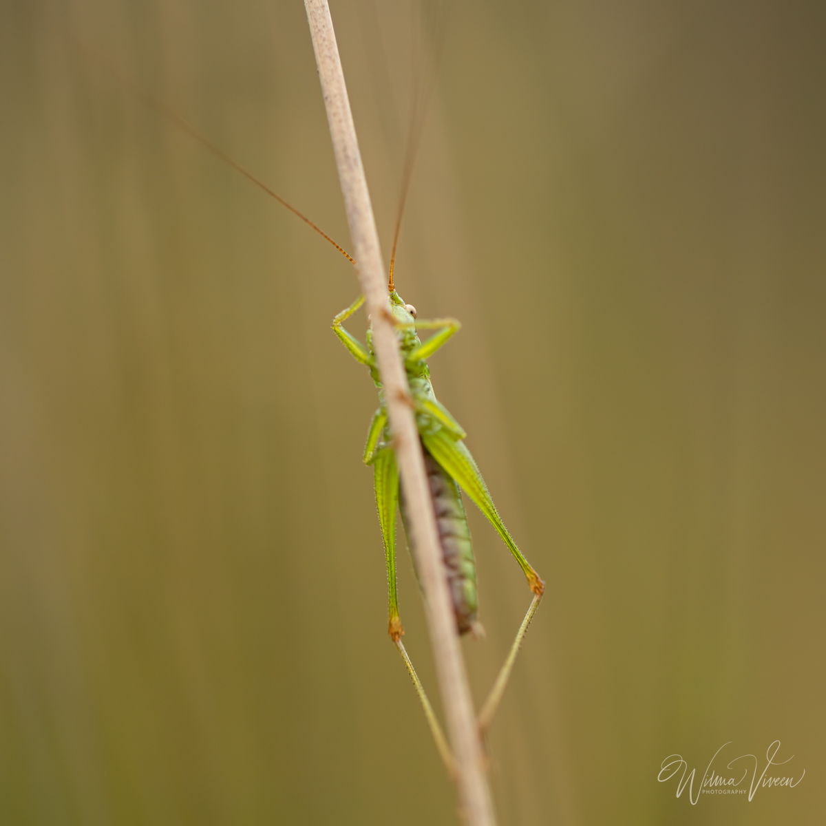 20210819_naamloos_5770-bewerkt